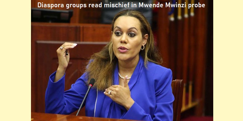 Diaspora groups read mischief in Mwende Mwinzi probe